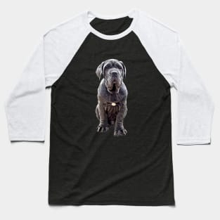 Neapolitan Mastiff - Stunning Dog! Baseball T-Shirt